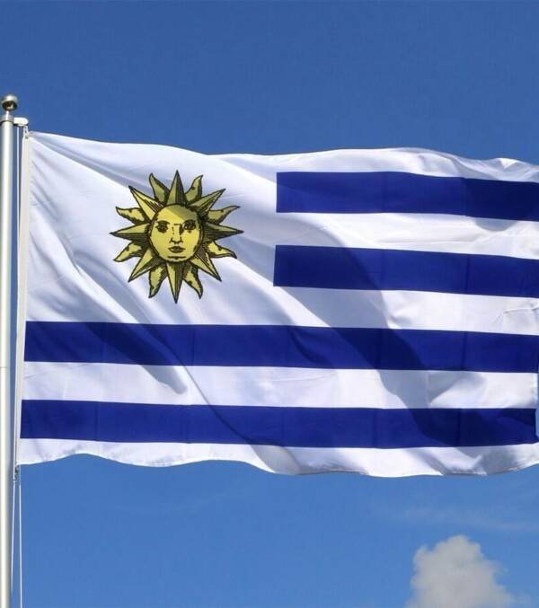 Background Intelligence Report on Individuals From Uruguay
